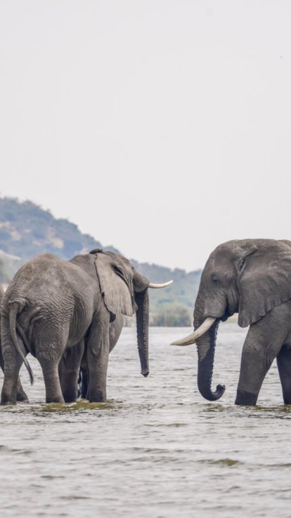 DSC_5176 (FILEminimizer)