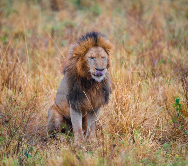 DSC_5445 (FILEminimizer)