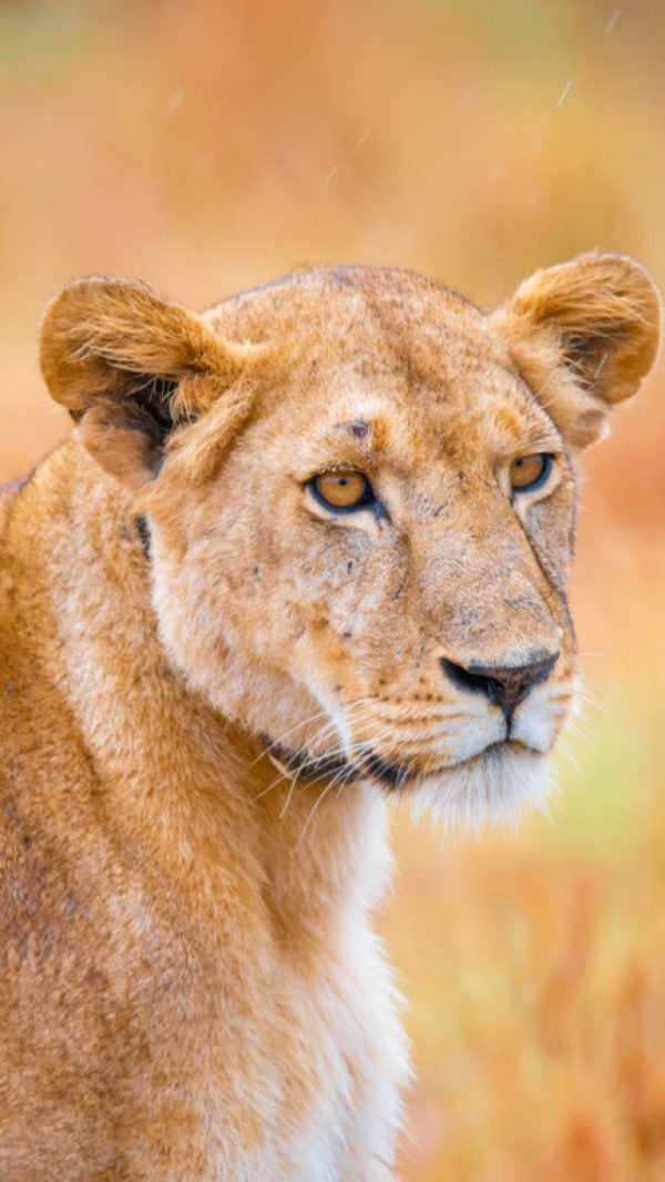 DSC_5487 (FILEminimizer)