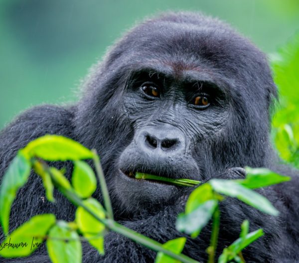 DSC_6891 (FILEminimizer)